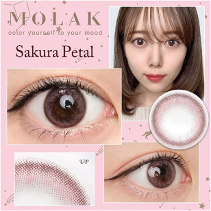 MOLAK 1day Sakura Petal モラク ワンデー サクラペタル
